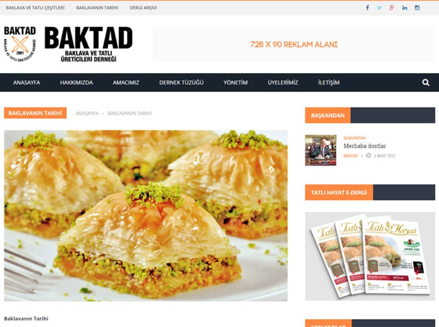 BAKTAD Derneği Web Site Tasarımı