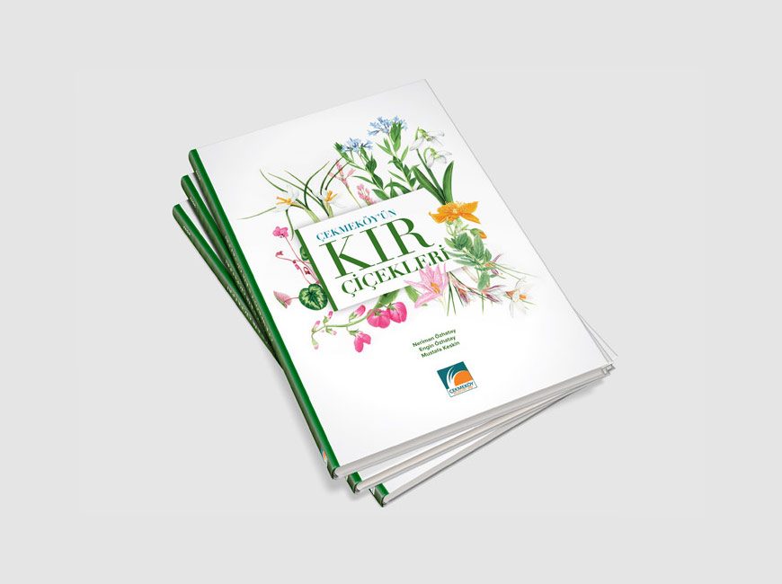 Çekmeköy’ün Kır Çiçekleri Kitap Tasarımı